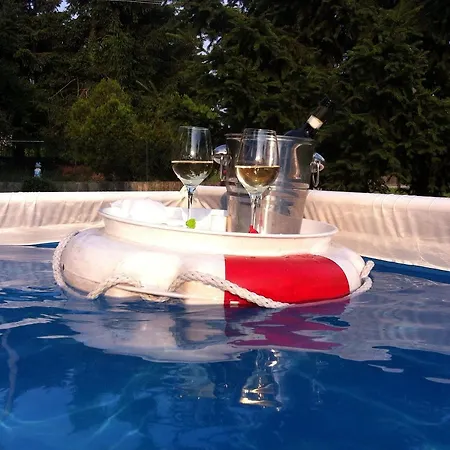 Il Gelso E La Vite Bed & Breakfast