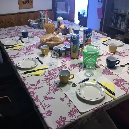 Il Gelso E La Vite