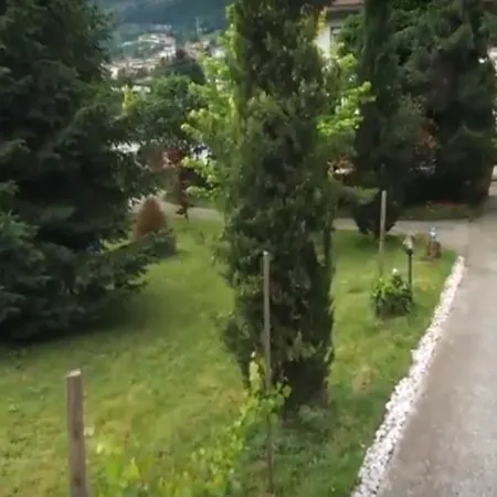 Il Gelso E La Vite Bed & Breakfast